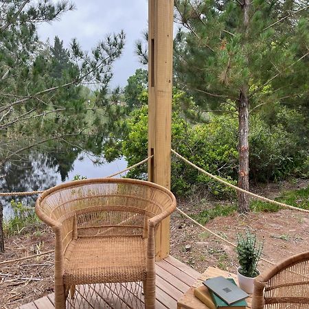 Forest Gate Resort بليتنبيرغ باي المظهر الخارجي الصورة