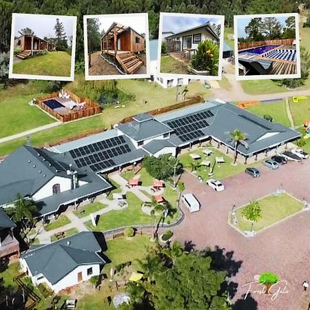 Forest Gate Resort بليتنبيرغ باي المظهر الخارجي الصورة