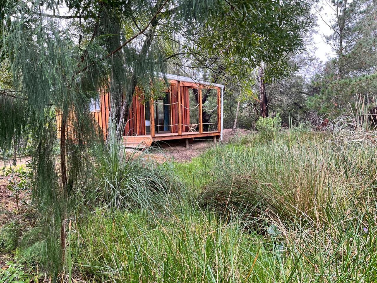 Forest Gate Resort بليتنبيرغ باي المظهر الخارجي الصورة