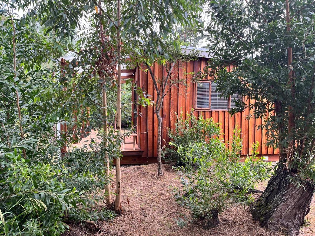 Forest Gate Resort بليتنبيرغ باي المظهر الخارجي الصورة