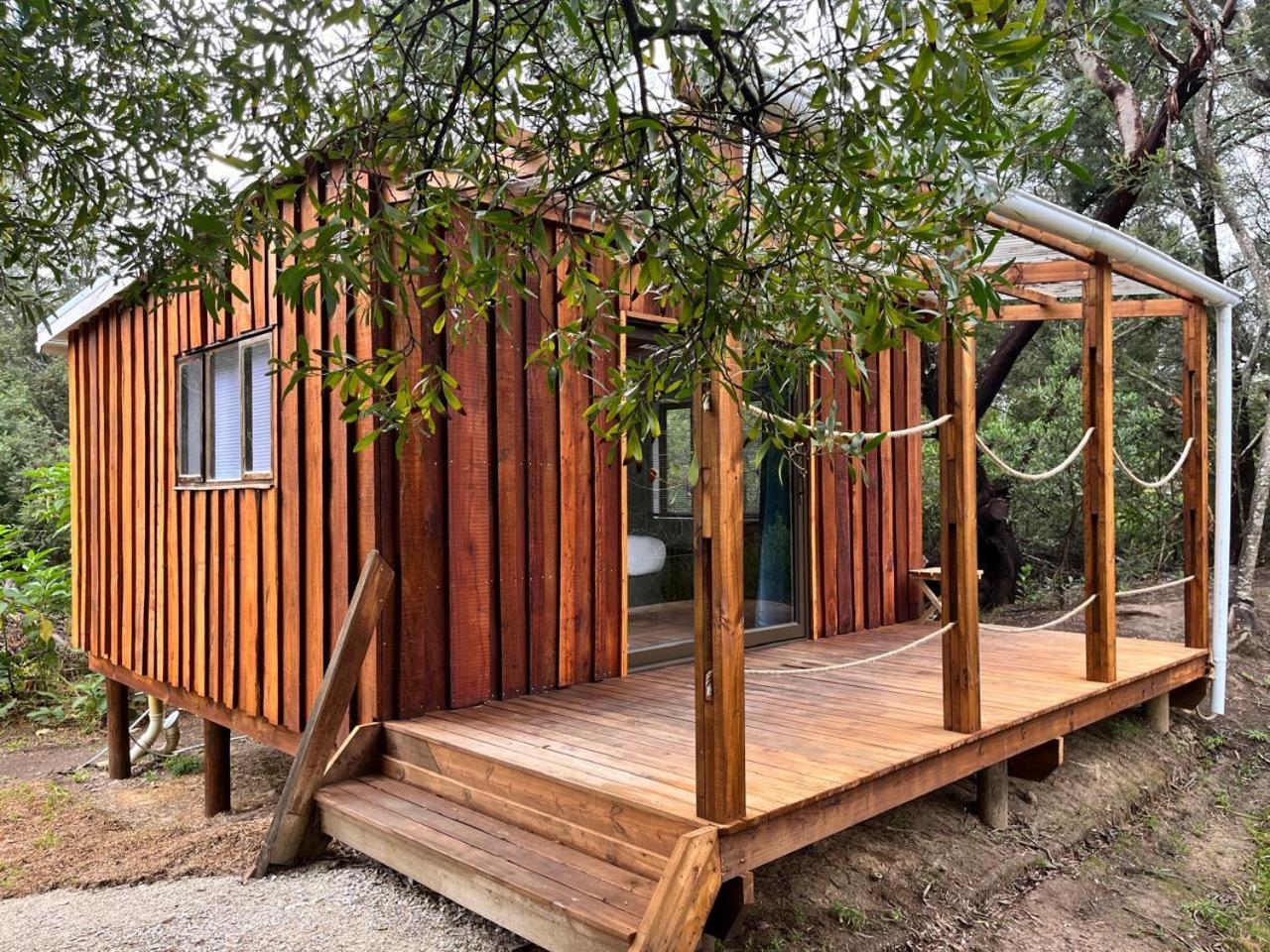 Forest Gate Resort بليتنبيرغ باي المظهر الخارجي الصورة