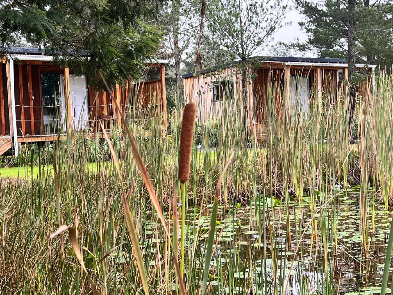 Forest Gate Resort بليتنبيرغ باي المظهر الخارجي الصورة