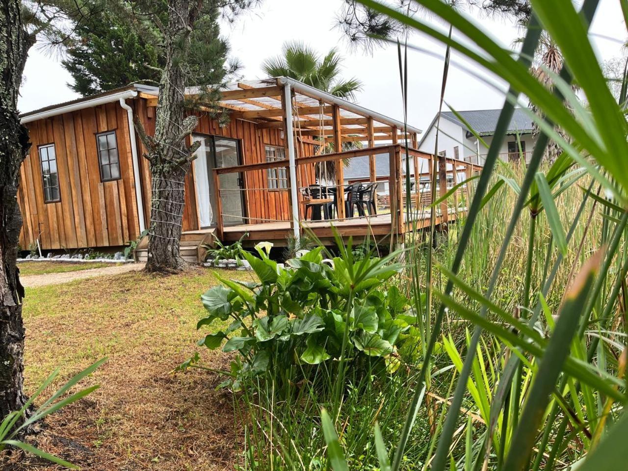 Forest Gate Resort بليتنبيرغ باي المظهر الخارجي الصورة