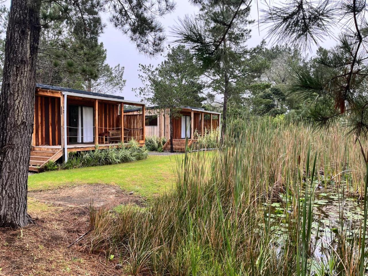 Forest Gate Resort بليتنبيرغ باي المظهر الخارجي الصورة